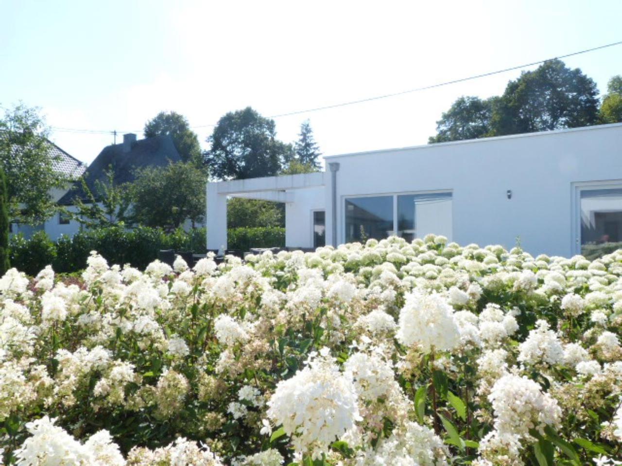 Villa Mosel Morbach Esterno foto