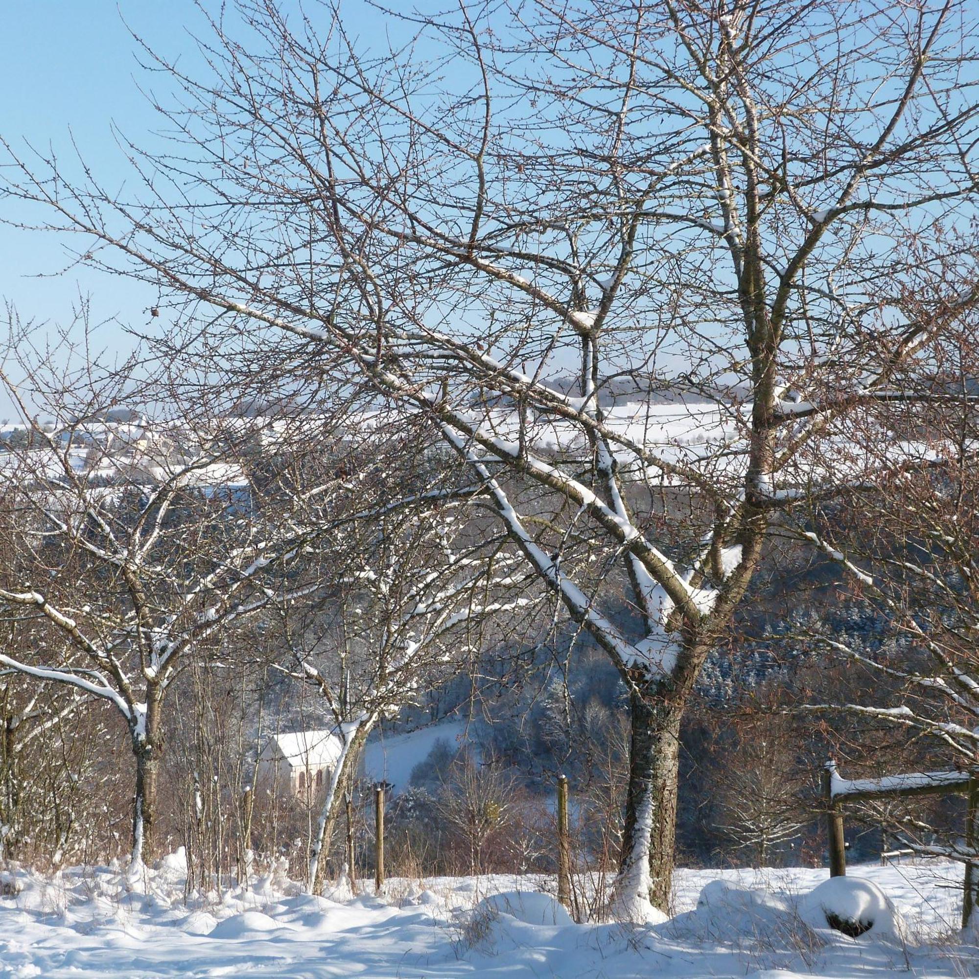 Villa Mosel Morbach Esterno foto